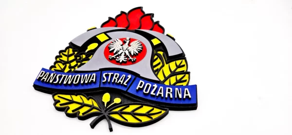Logo Twojej jednostki – ręcznie malowane - obrazek 4
